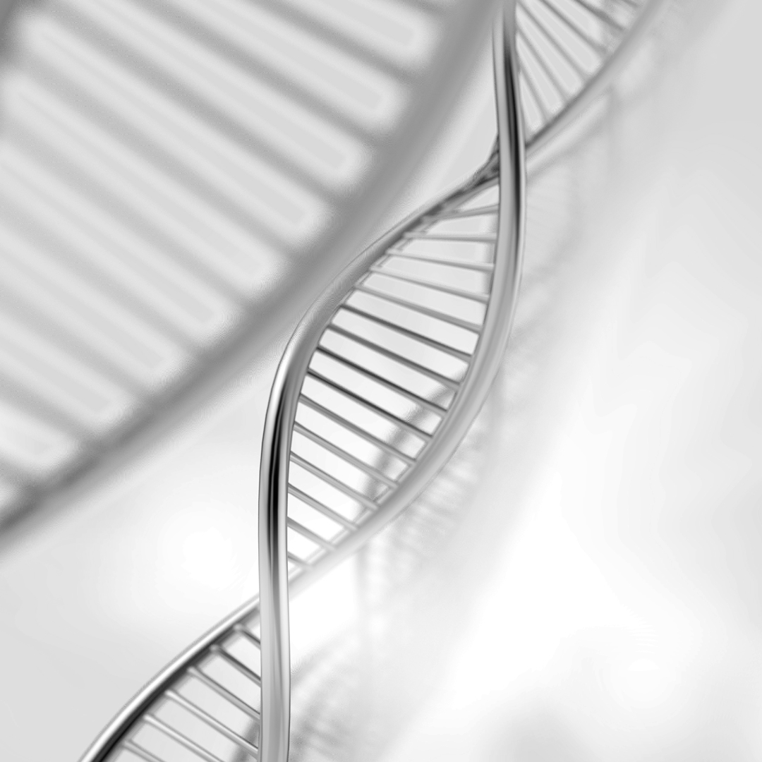DNA Hair Test